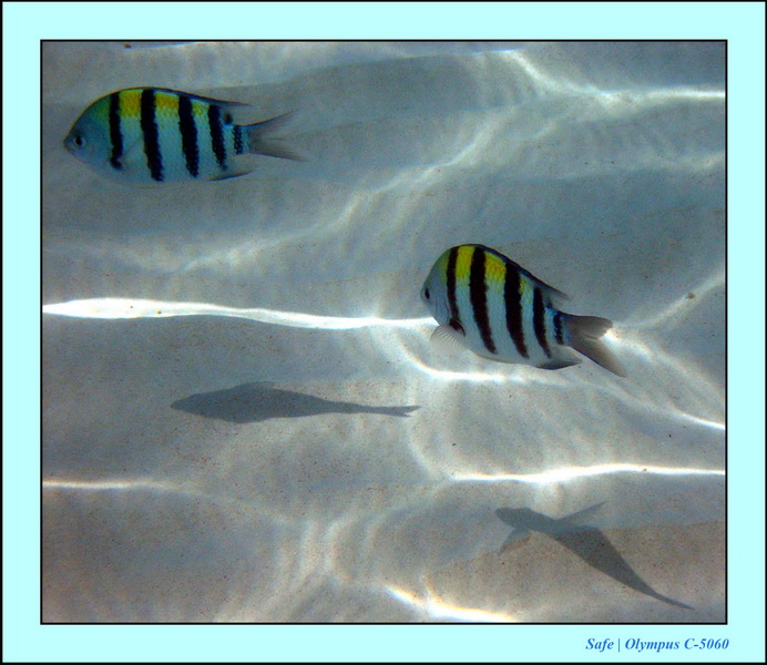 2005 - 08 - Redang  - 088.JPG